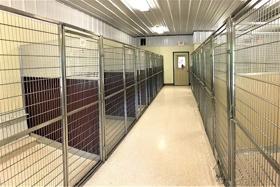 kennels